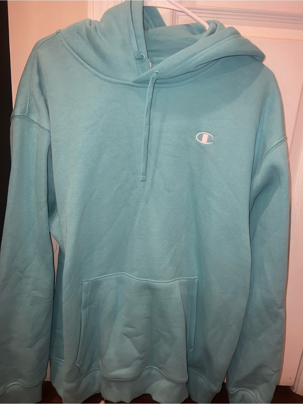 Champion hoodie size medium- new without tags